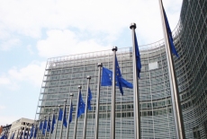 Rząd powiewających flag UE