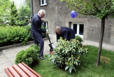 Dyrektor KSAP Jacek Czaputowicz sadzi roślinę na dziedzińcu