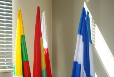 Flagi uczestników programu Rising Stars w KSAP